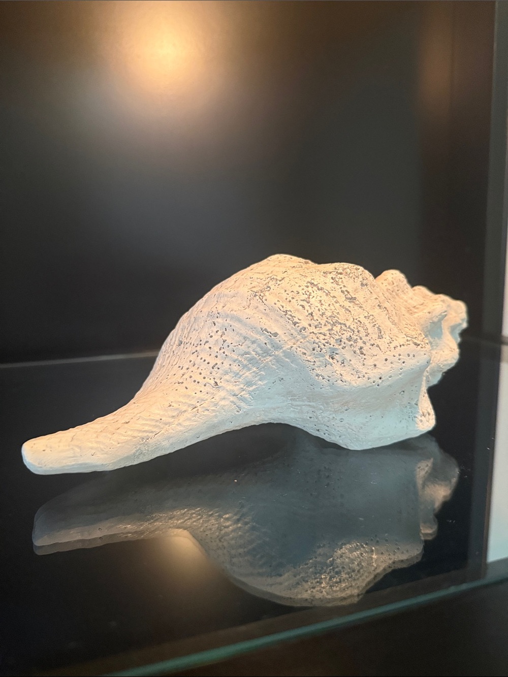 Conch Shell Resin - Picture 6 of 6